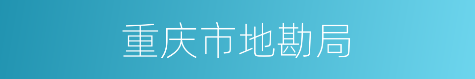 重庆市地勘局的同义词
