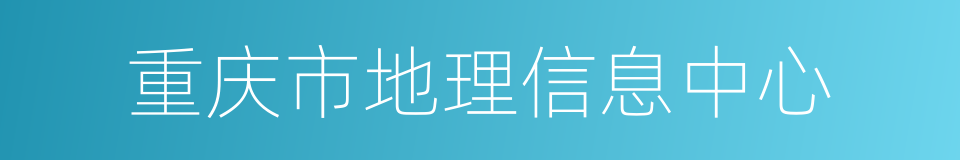 重庆市地理信息中心的同义词