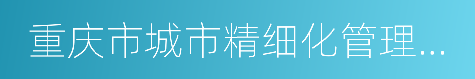 重庆市城市精细化管理标准的同义词