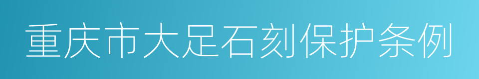 重庆市大足石刻保护条例的同义词