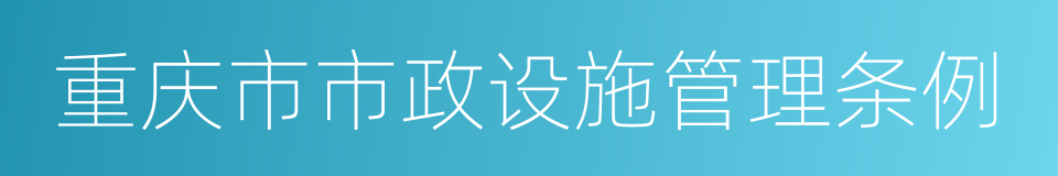 重庆市市政设施管理条例的同义词