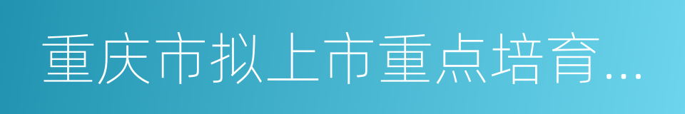 重庆市拟上市重点培育企业财政扶持暂行办法的同义词