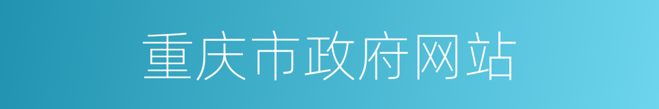 重庆市政府网站的同义词