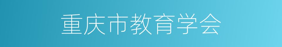 重庆市教育学会的同义词