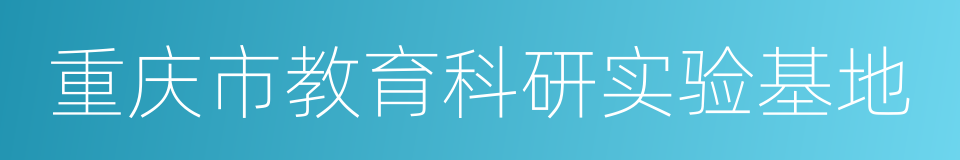 重庆市教育科研实验基地的同义词