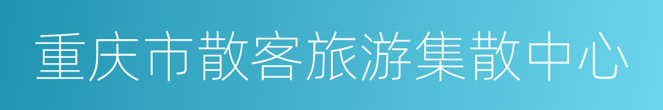 重庆市散客旅游集散中心的同义词