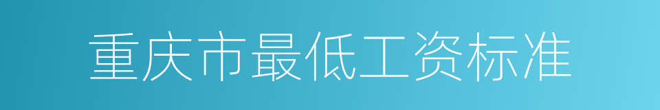 重庆市最低工资标准的同义词