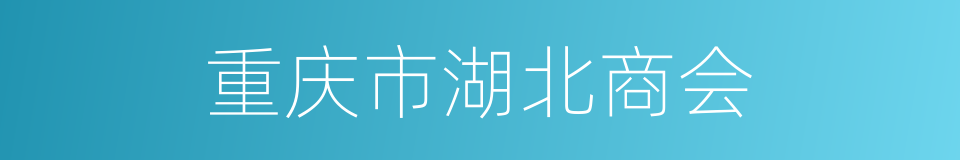 重庆市湖北商会的同义词