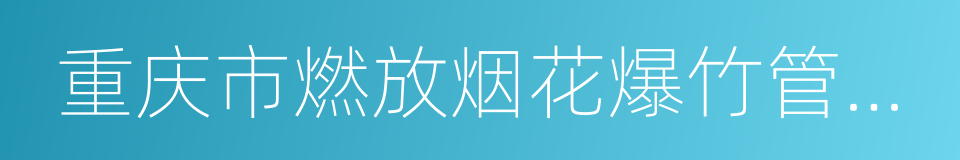 重庆市燃放烟花爆竹管理条例的同义词