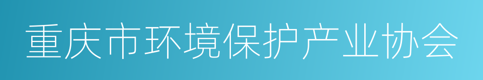 重庆市环境保护产业协会的同义词