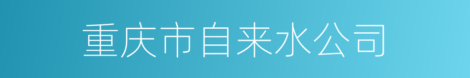 重庆市自来水公司的同义词