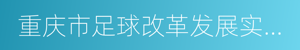 重庆市足球改革发展实施方案的同义词