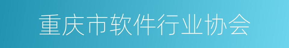 重庆市软件行业协会的同义词