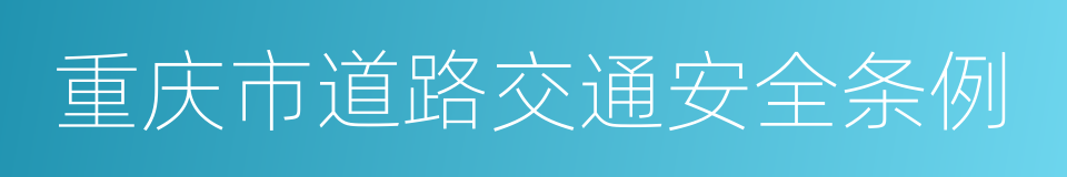 重庆市道路交通安全条例的同义词