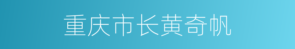 重庆市长黄奇帆的同义词