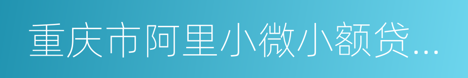 重庆市阿里小微小额贷款有限公司的同义词