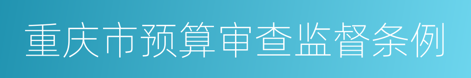 重庆市预算审查监督条例的同义词