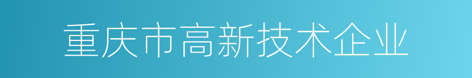 重庆市高新技术企业的同义词