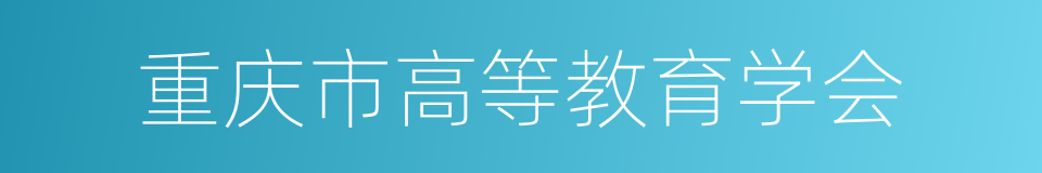 重庆市高等教育学会的同义词