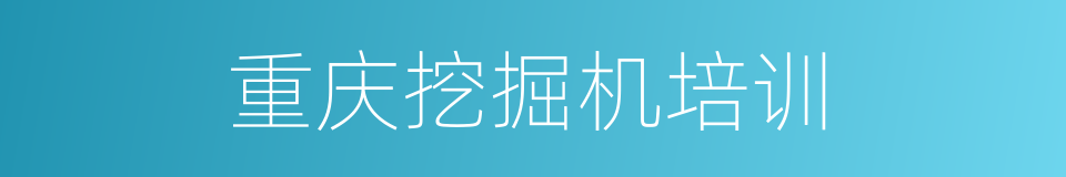 重庆挖掘机培训的同义词