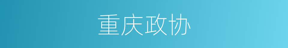 重庆政协的同义词