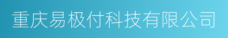 重庆易极付科技有限公司的同义词