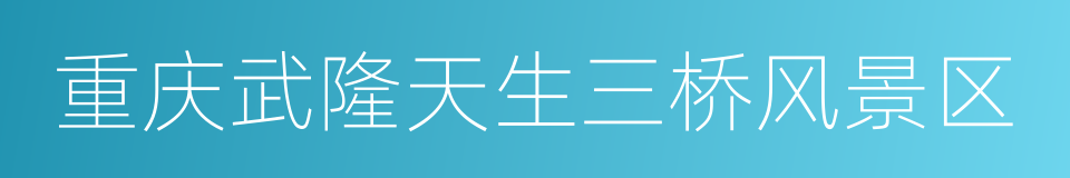 重庆武隆天生三桥风景区的同义词