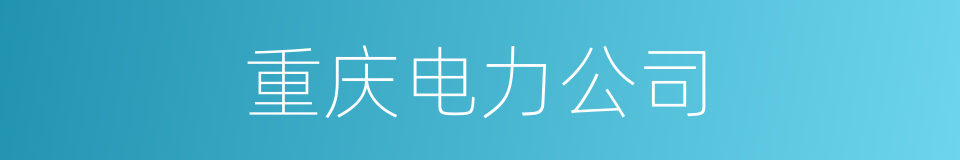 重庆电力公司的同义词