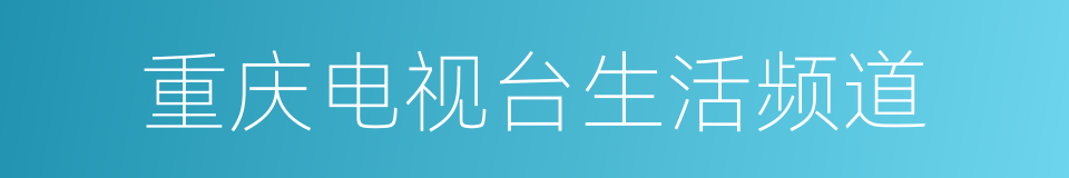 重庆电视台生活频道的同义词