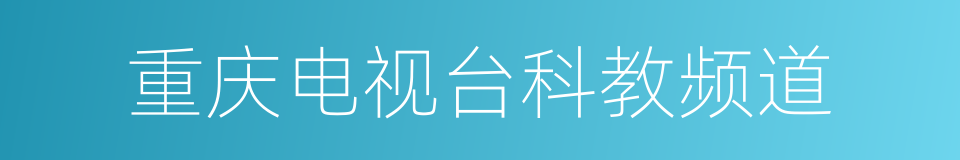 重庆电视台科教频道的同义词