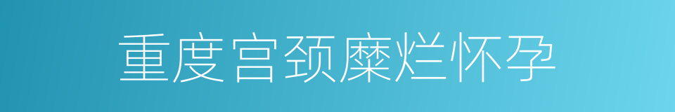 重度宫颈糜烂怀孕的同义词