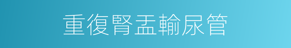 重復腎盂輸尿管的同義詞