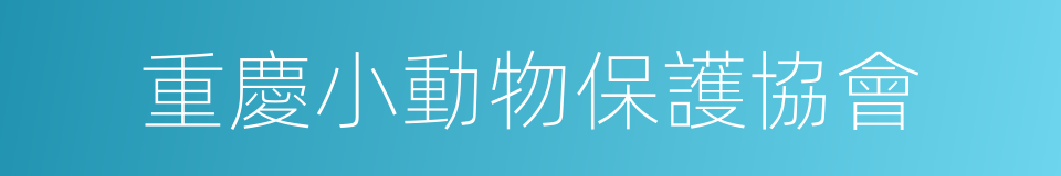 重慶小動物保護協會的同義詞