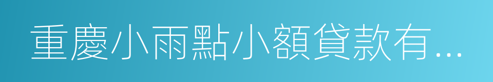 重慶小雨點小額貸款有限公司的同義詞