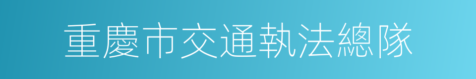 重慶市交通執法總隊的同義詞