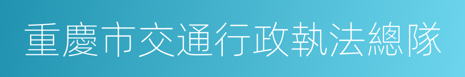 重慶市交通行政執法總隊的同義詞