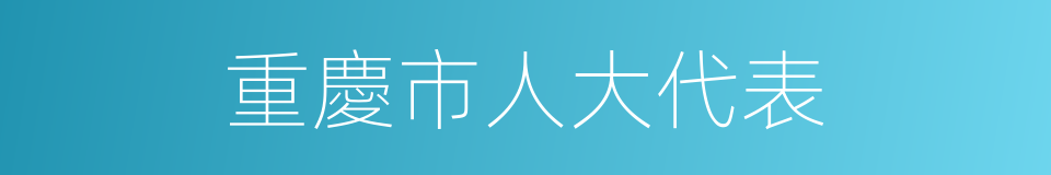 重慶市人大代表的同義詞