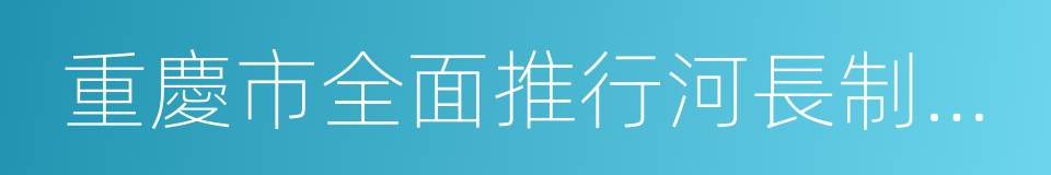 重慶市全面推行河長制工作方案的同義詞