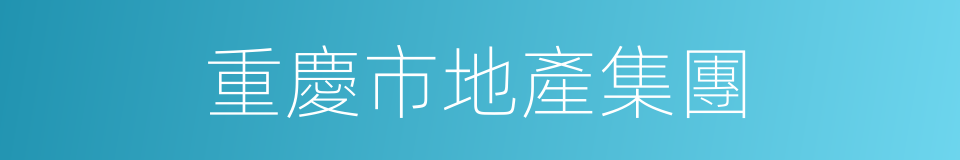 重慶市地產集團的同義詞