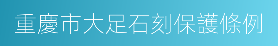 重慶市大足石刻保護條例的同義詞