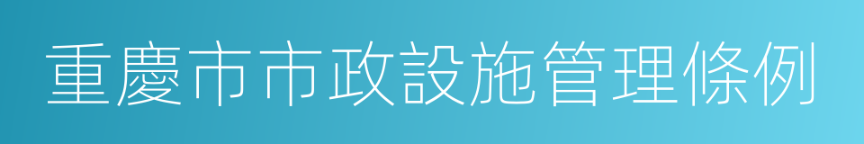 重慶市市政設施管理條例的同義詞