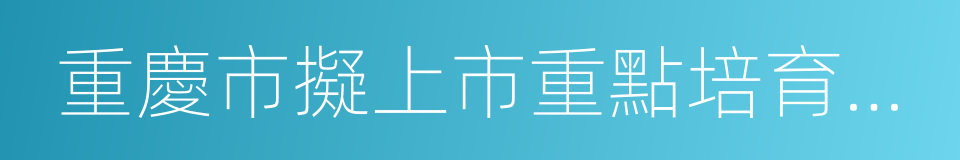 重慶市擬上市重點培育企業財政扶持暫行辦法的同義詞