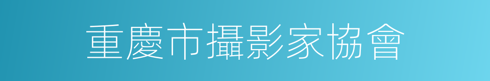 重慶市攝影家協會的同義詞