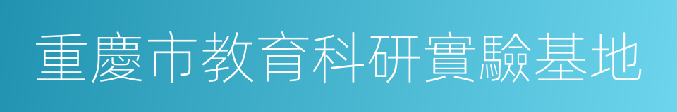 重慶市教育科研實驗基地的同義詞