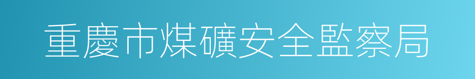 重慶市煤礦安全監察局的同義詞