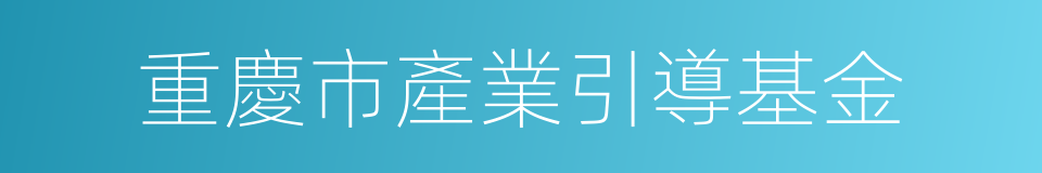 重慶市產業引導基金的同義詞