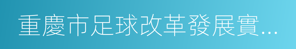 重慶市足球改革發展實施方案的同義詞