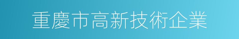 重慶市高新技術企業的同義詞