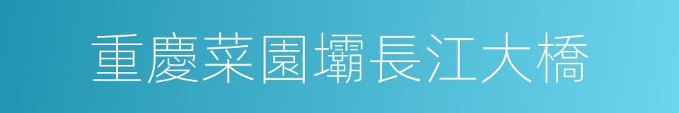 重慶菜園壩長江大橋的同義詞