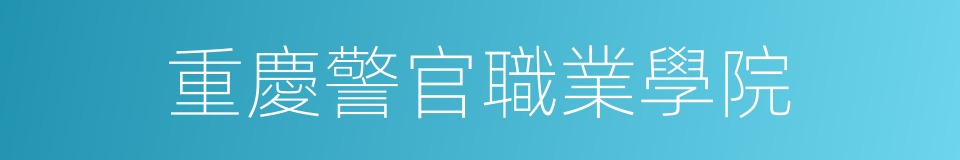 重慶警官職業學院的同義詞